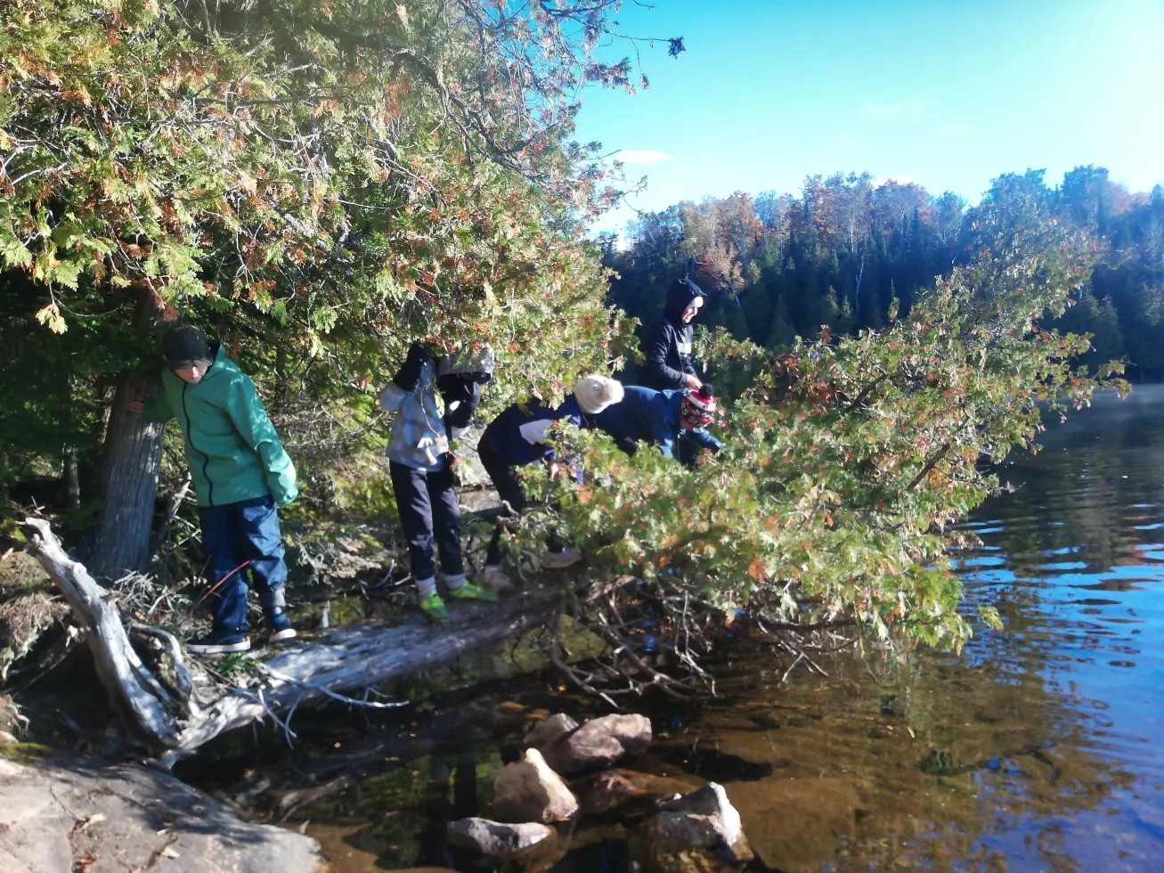 Kids in autumn gear crossing a fallen log over a forest lake