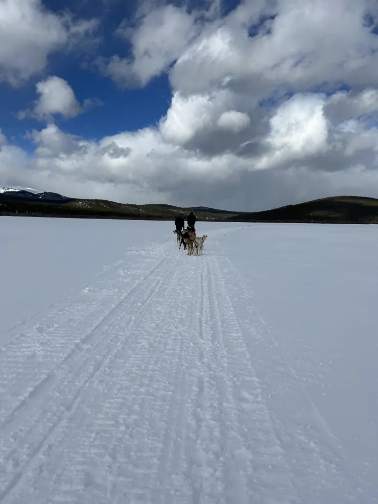 A dog sled team pulling across a wide frozen lake under a big sky